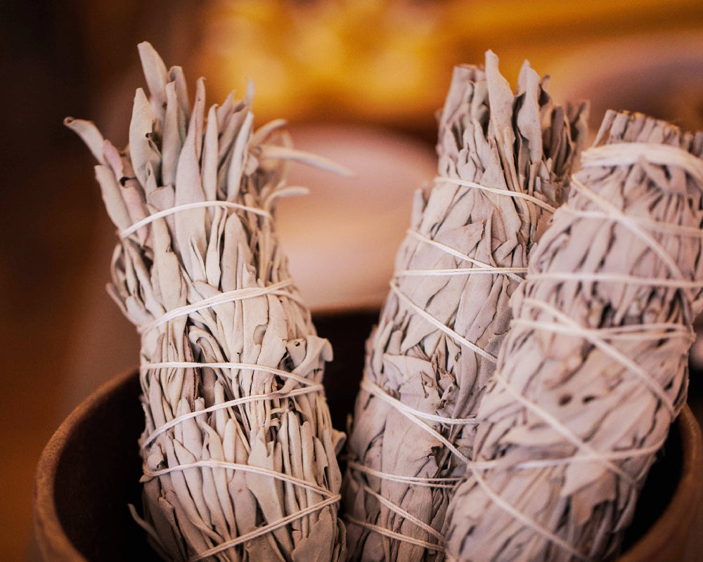 White Sage, Smudging, and Cultural Appropriation in Spiritual Spaces