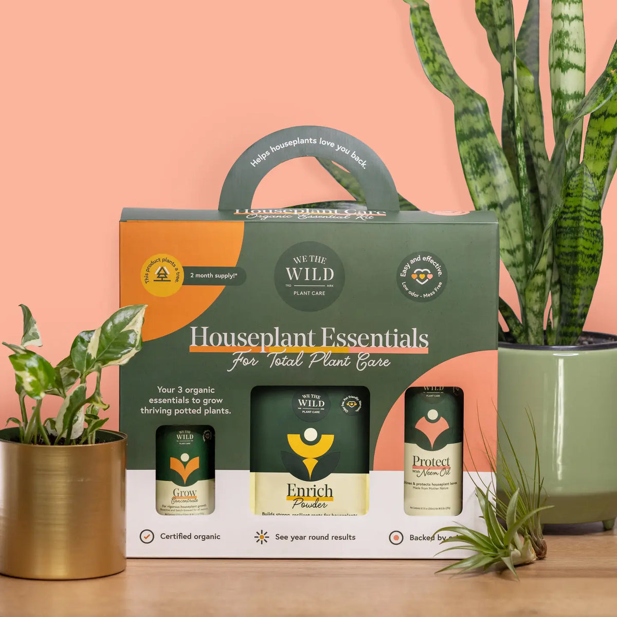 Houseplant Care Kit