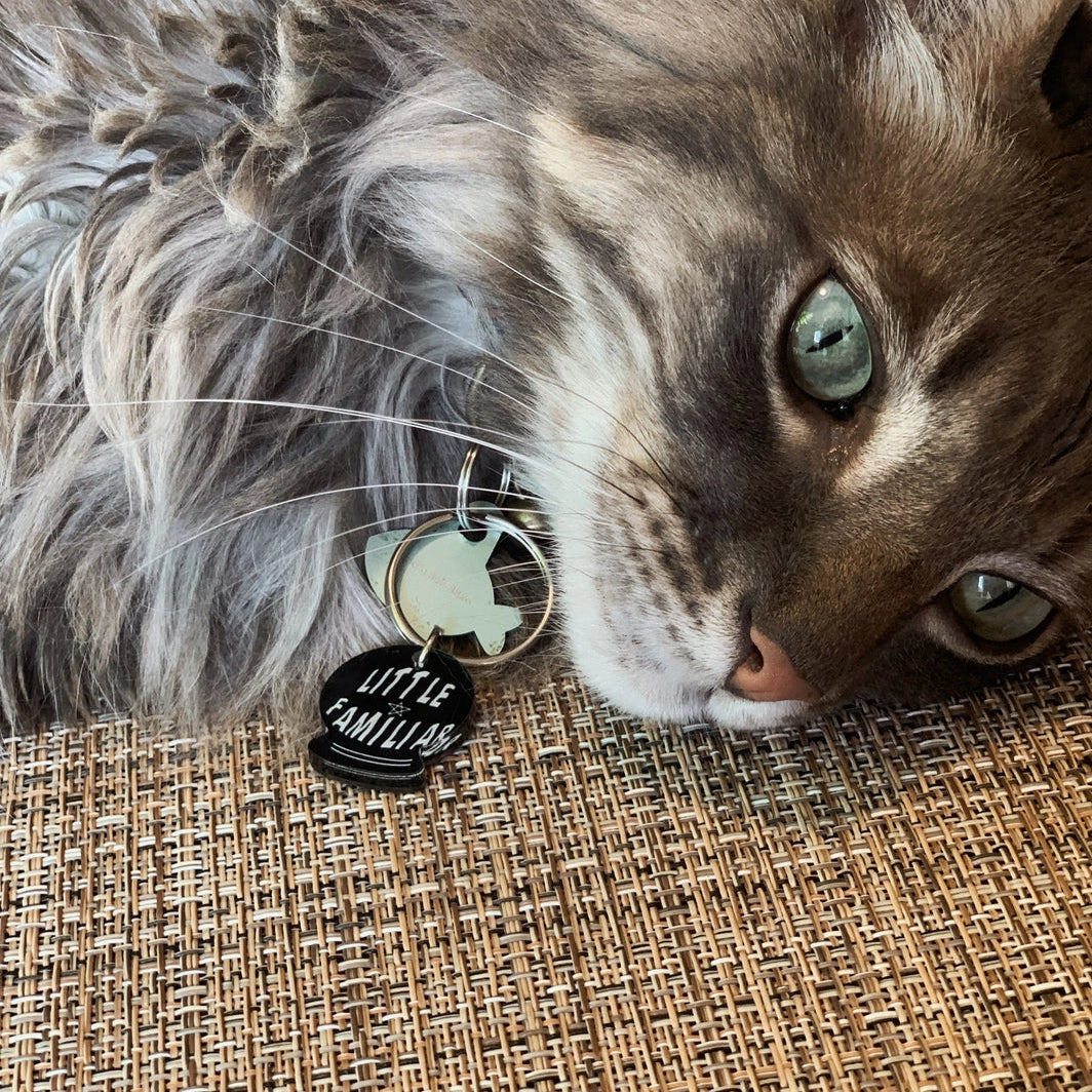 Little Familiar Pet Tag