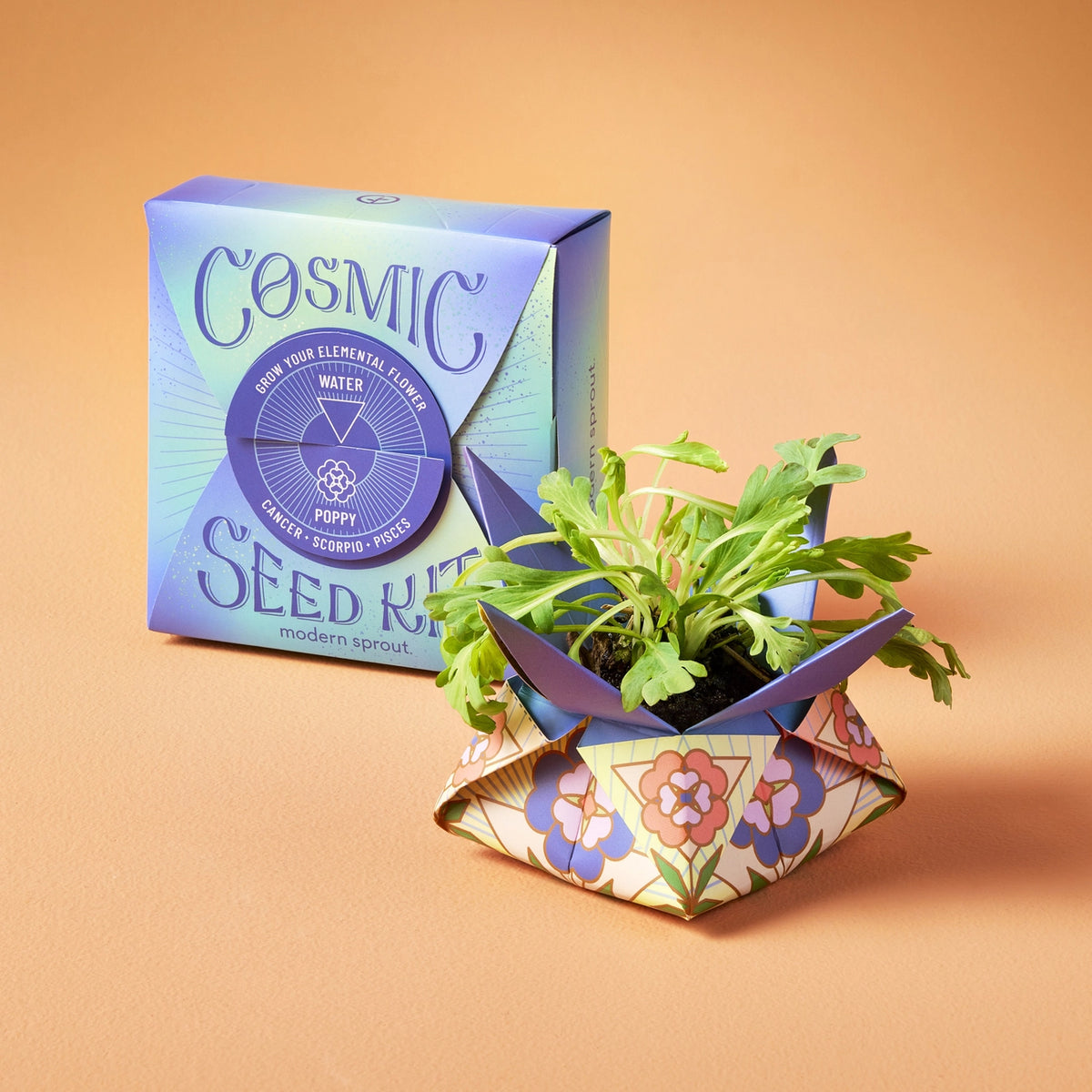 Cosmic Seed Kit