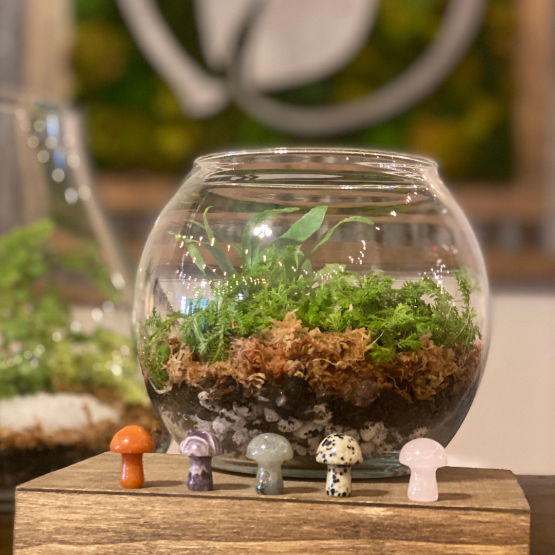 Build a Terrarium Workshop, Boo-rariums!