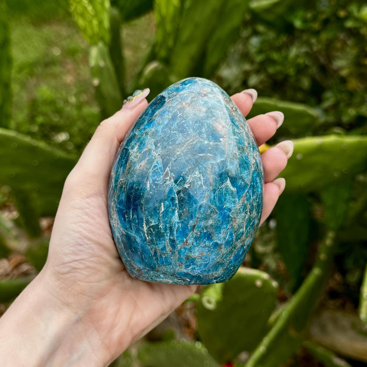 Blue Apatite Freeform