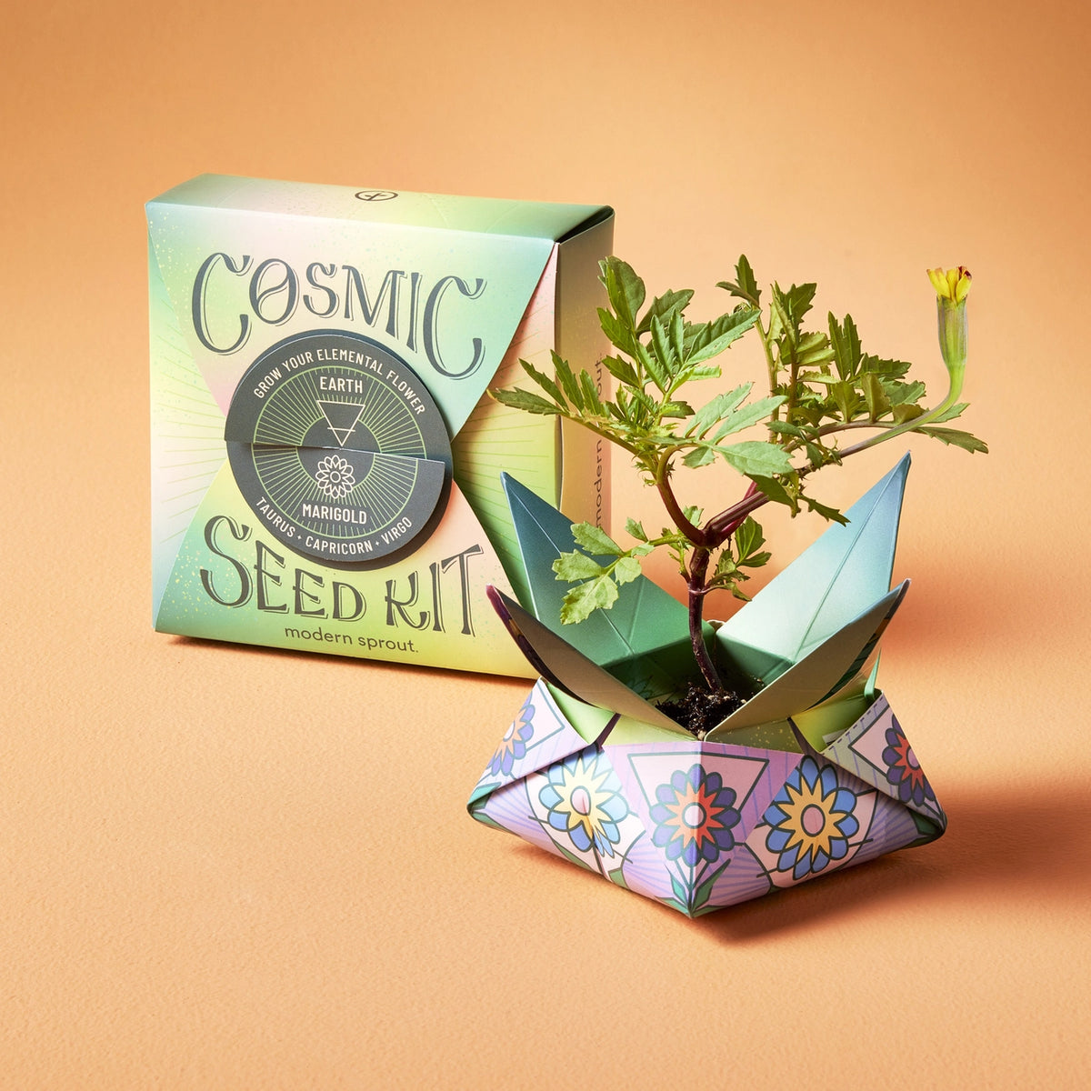 Cosmic Seed Kit