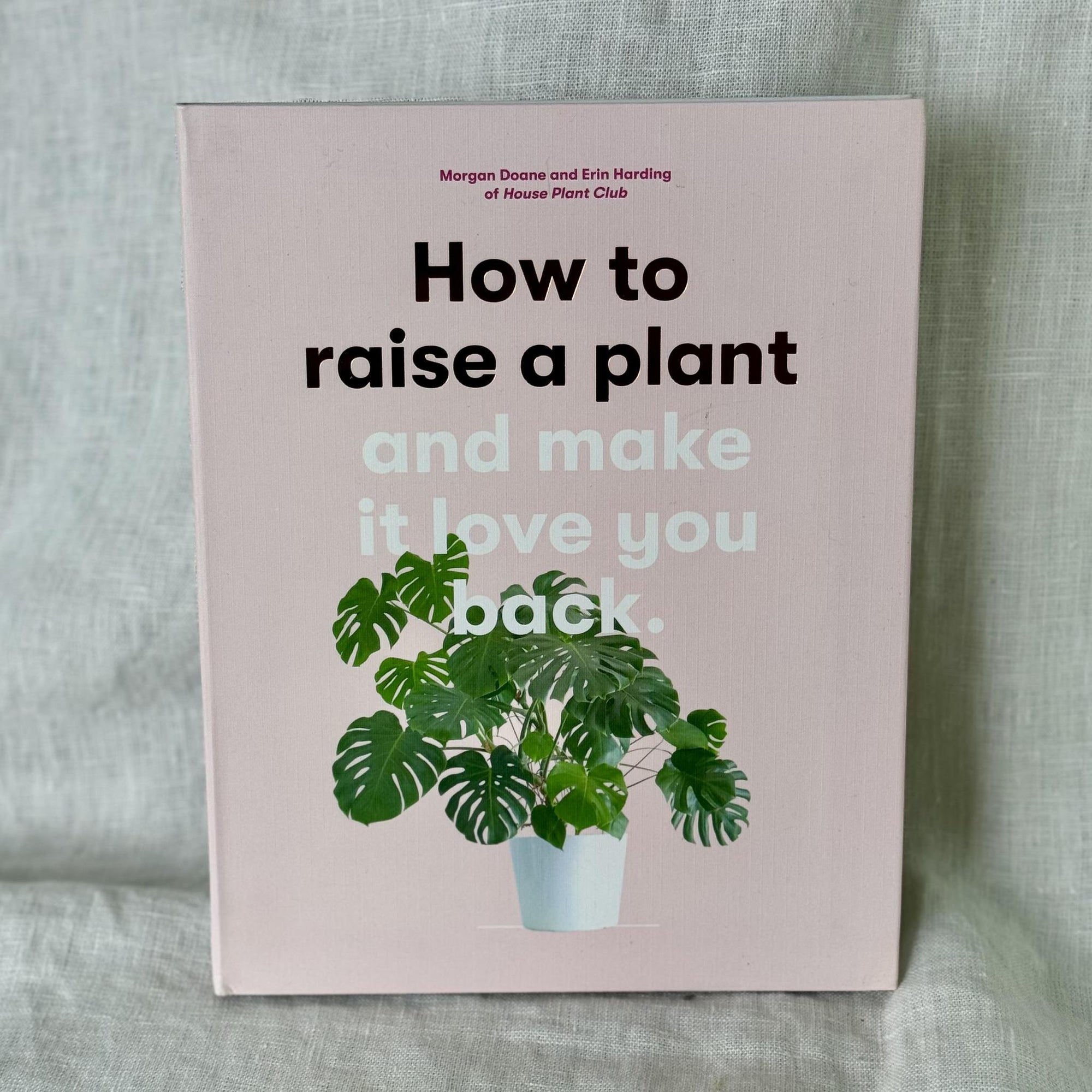 How to Raise A Plant and Make it Love You Back