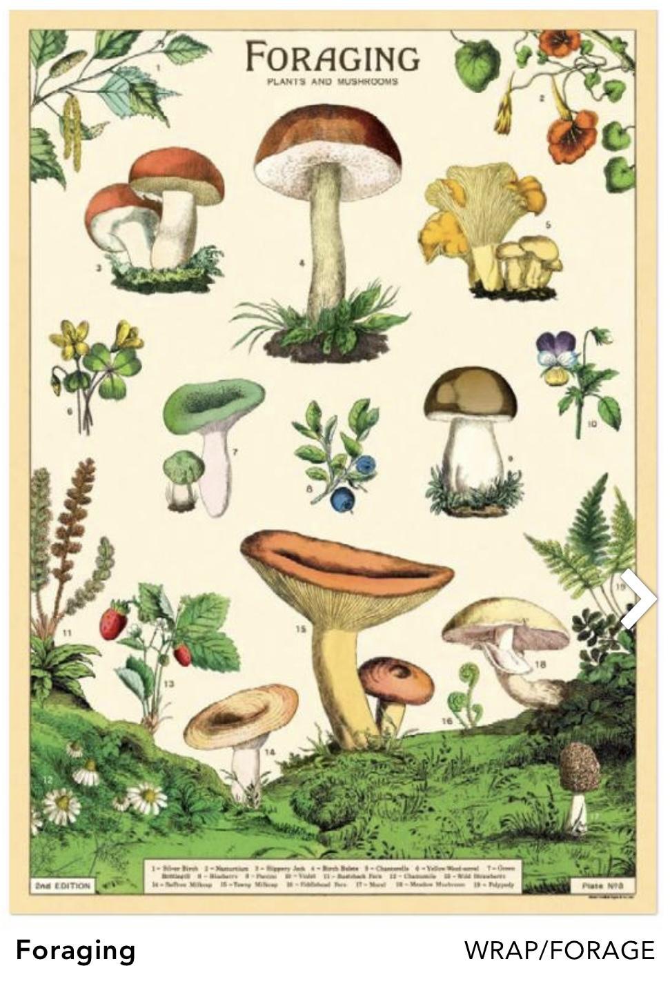 Wrap Poster