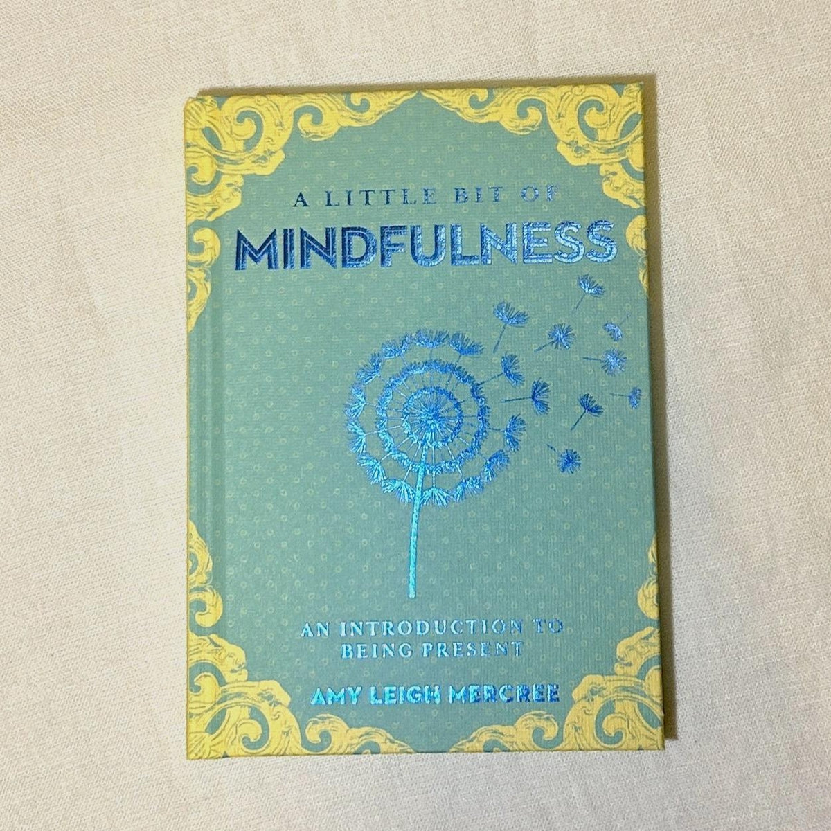 A Little Bit of Mindfulness: An Introduction To Being Present. In the “Little Bit of” series: a fresh, accessible introduction to the increasingly popular spiritual practice of mindfulness: being present and peaceful in the moment.