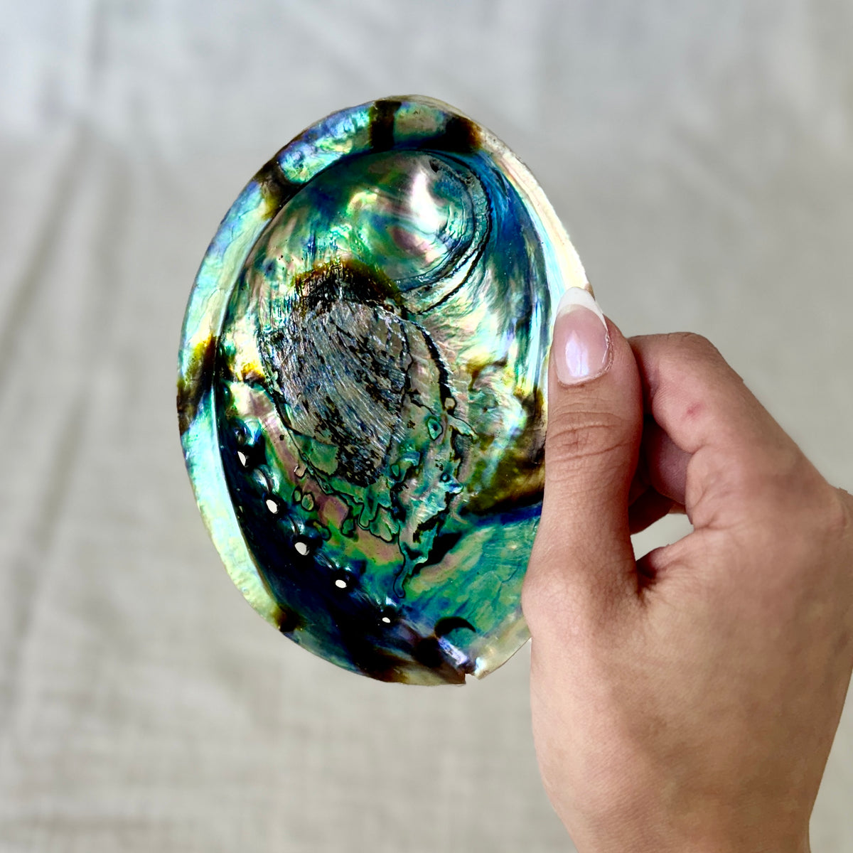 Abalone Shell Cleansing Bowl