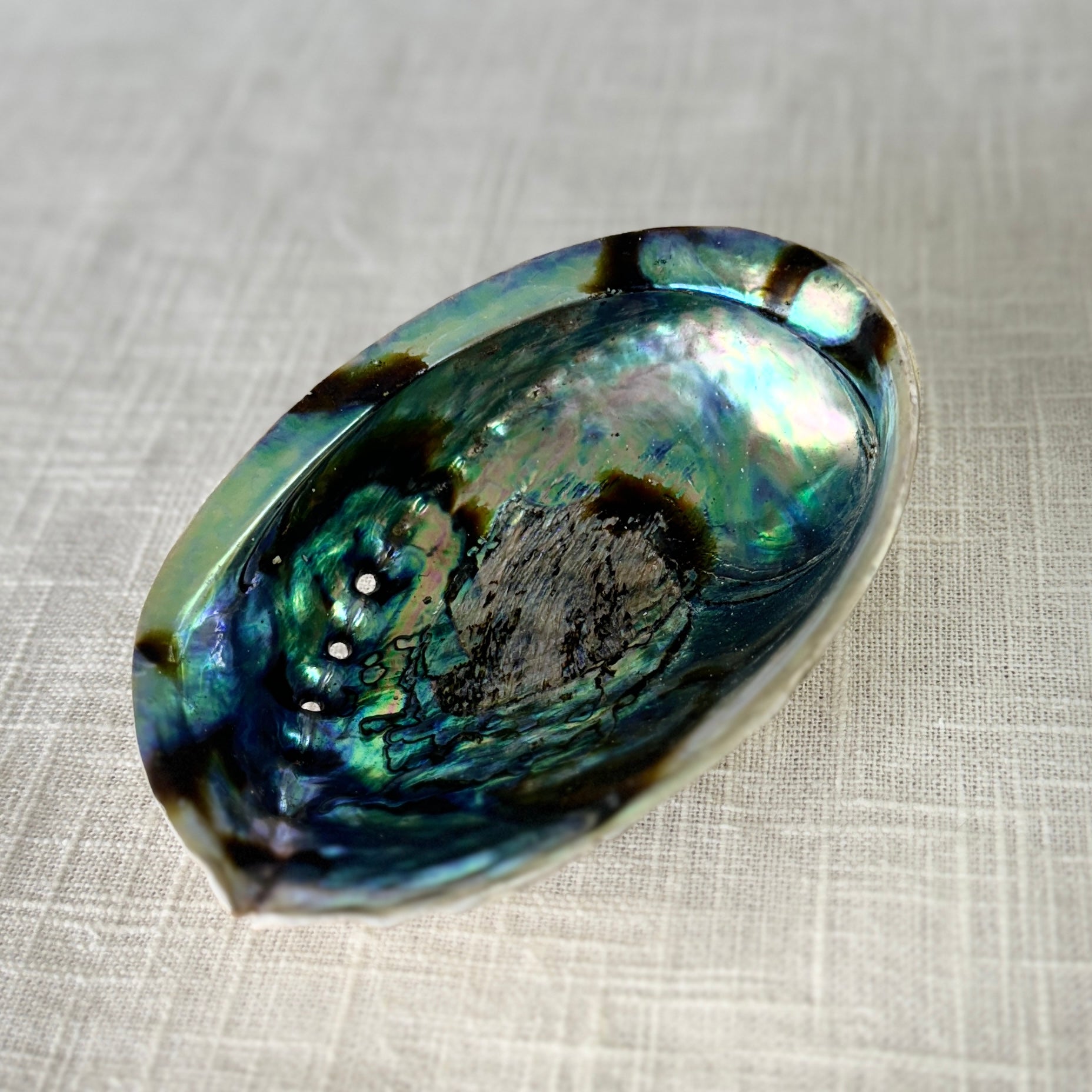 Abalone Shell Cleansing Bowl