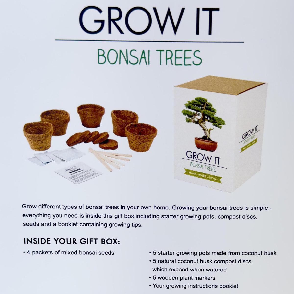 Bonsai Tree Grow Kit