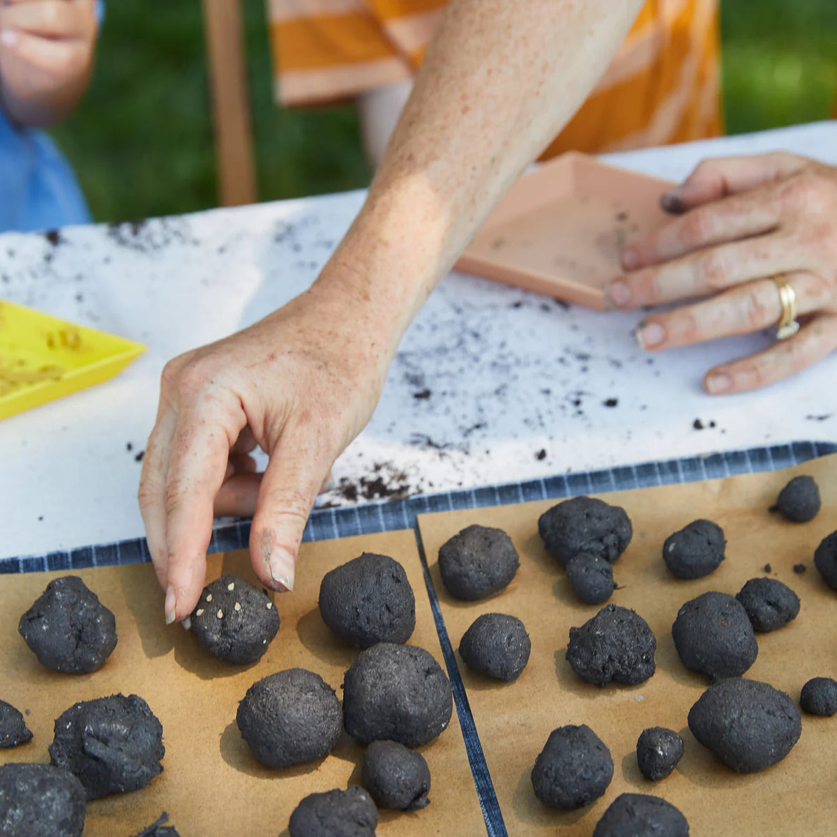 Garden Seed Ball Kit