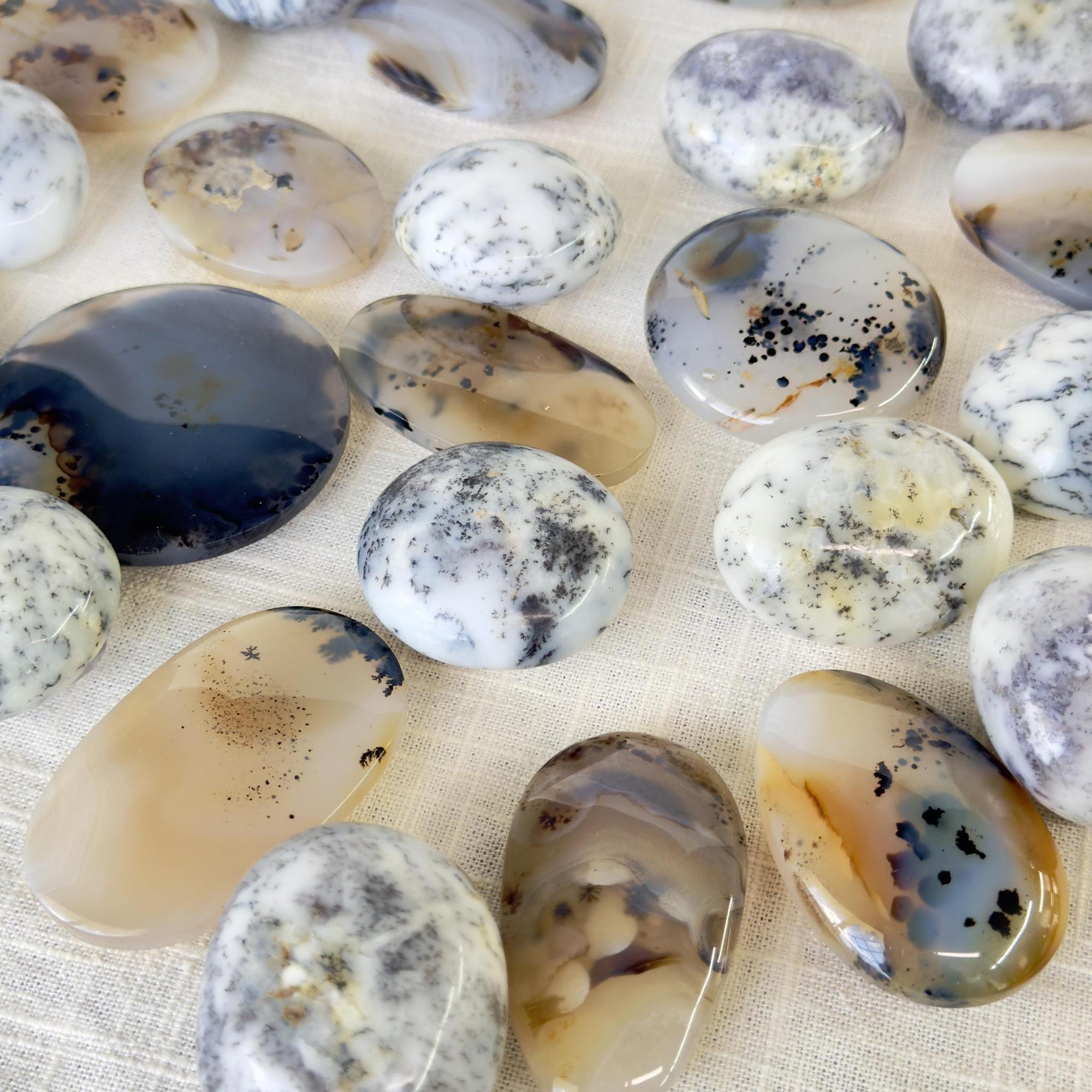 Dendritic Agate Palm Stone