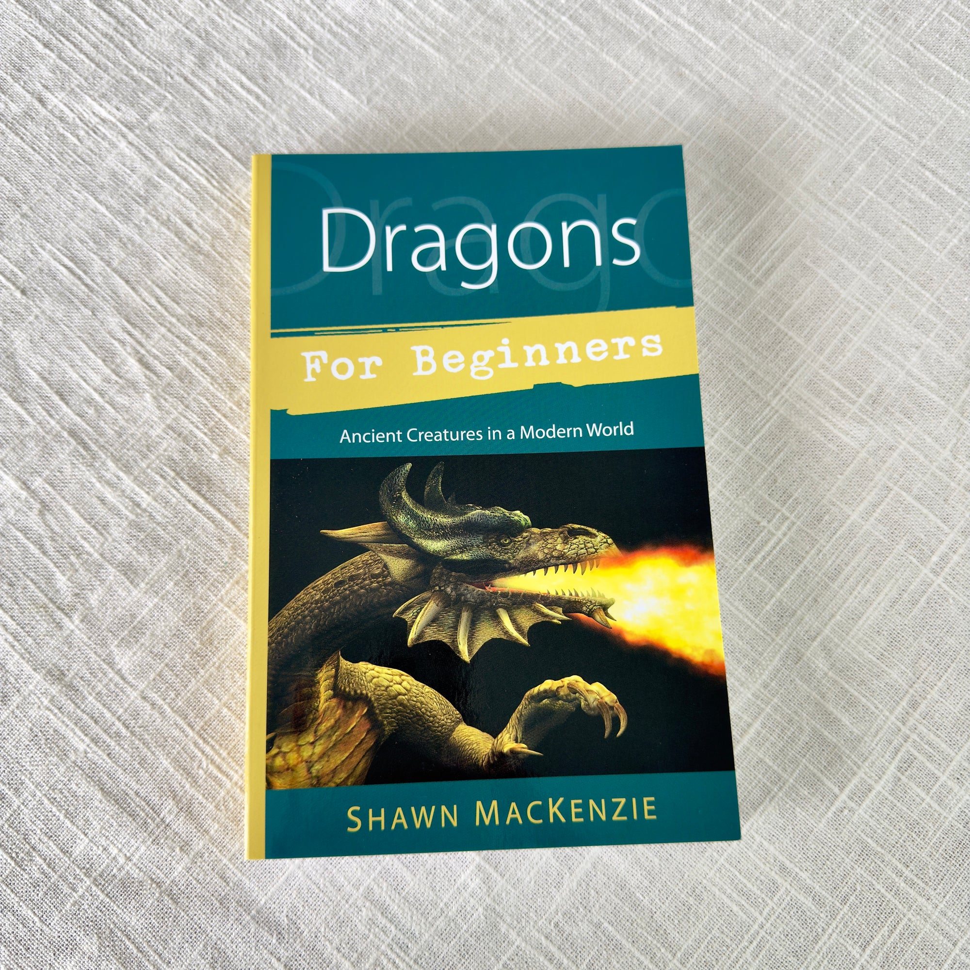 Dragons for Beginners