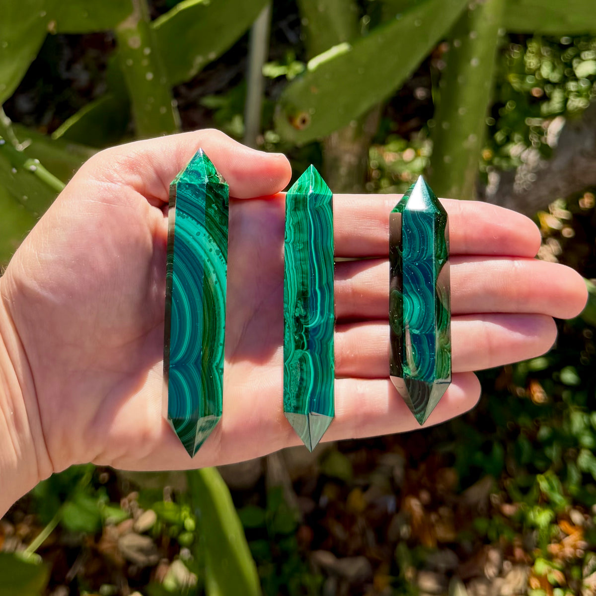 Three polished malachite double-terminated crystal points with banded light and dark green looping patterns, resting side by side on an open palm held up against a blurred outdoor background of green leaves.