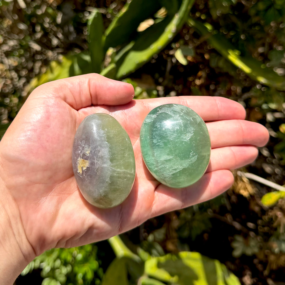 Fluorite Palm Stone