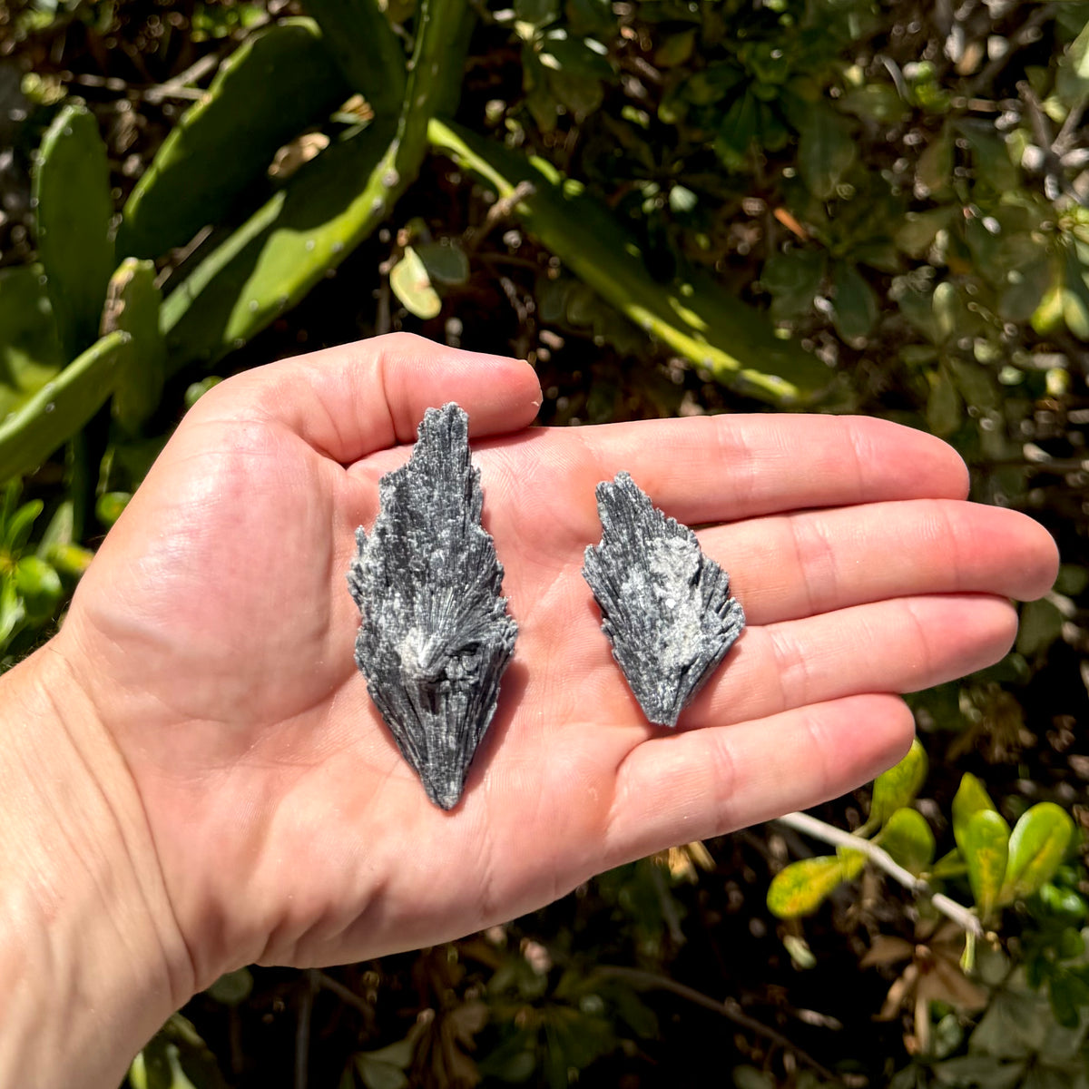 Black Kyanite Fan