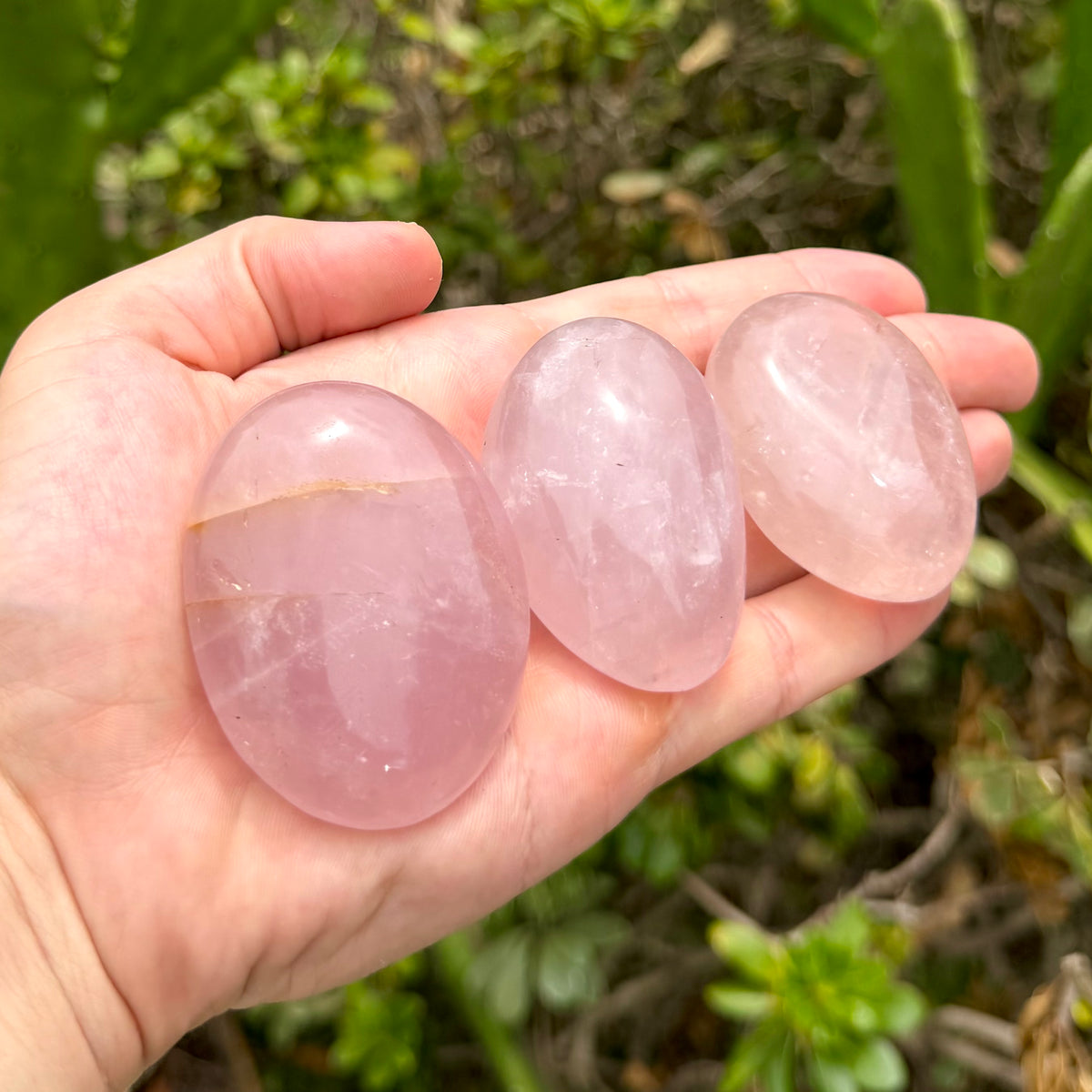 Rose Quartz Palm Stone