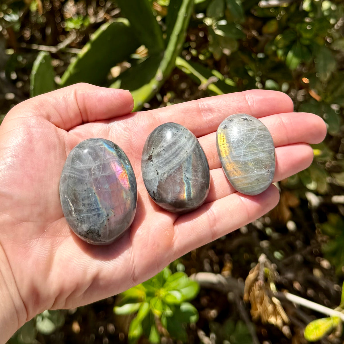 Sunset Labradorite Palm Stone