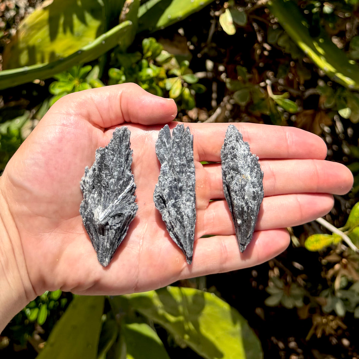 Black Kyanite Fan
