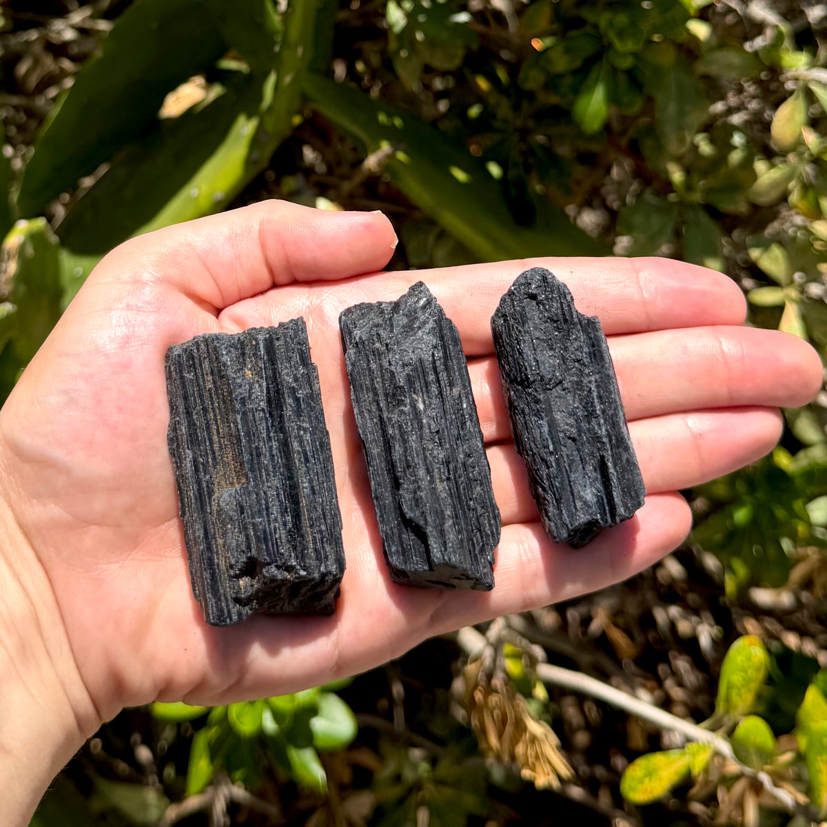 Small Black Tourmaline Raw Crystal Pieces