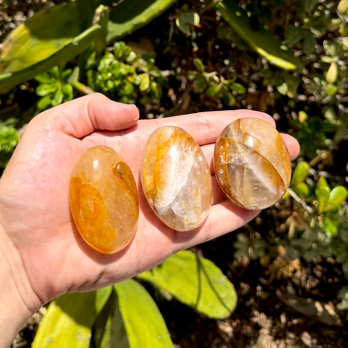 Golden Healer Palm Stones