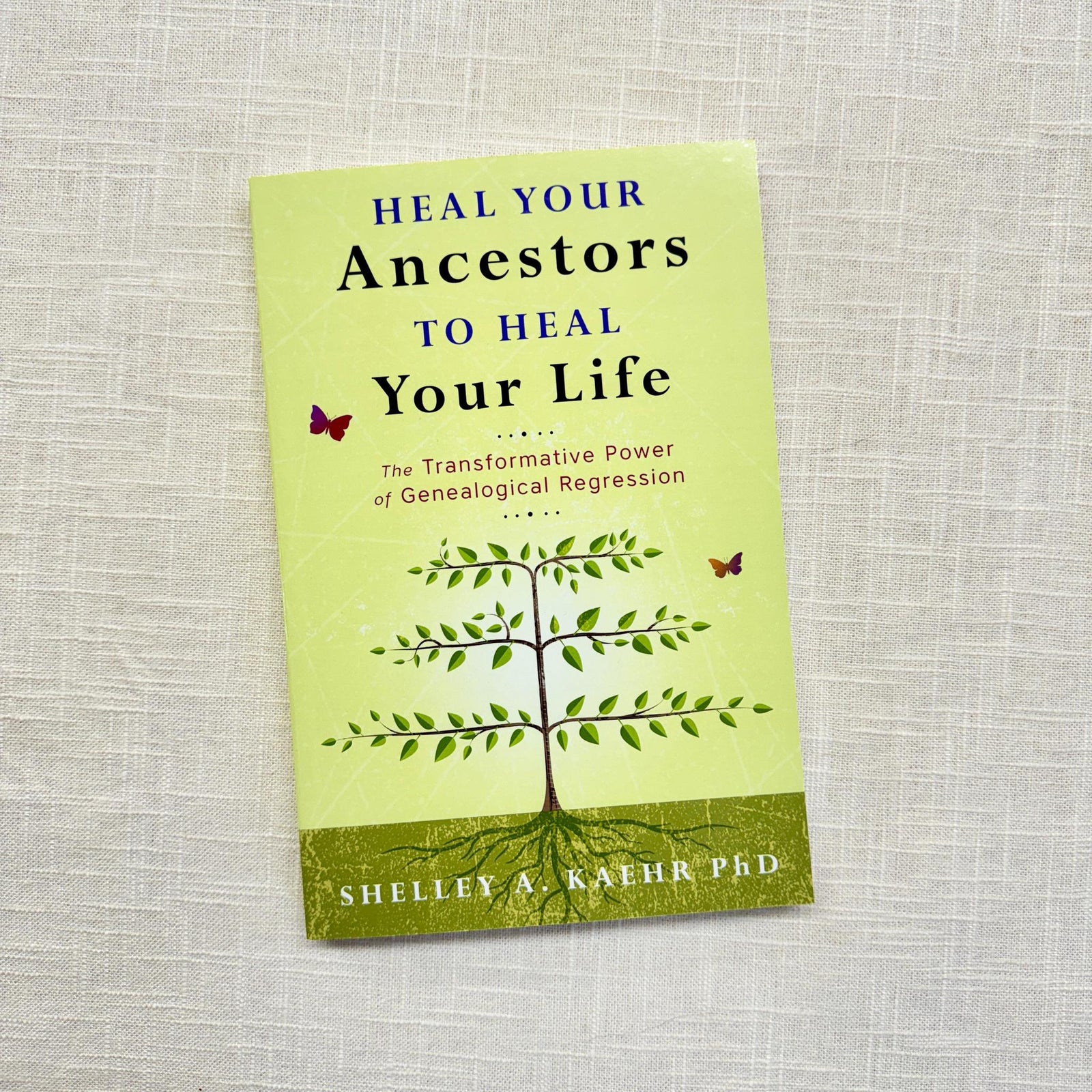 Heal Your Ancestors to Heal Your Life