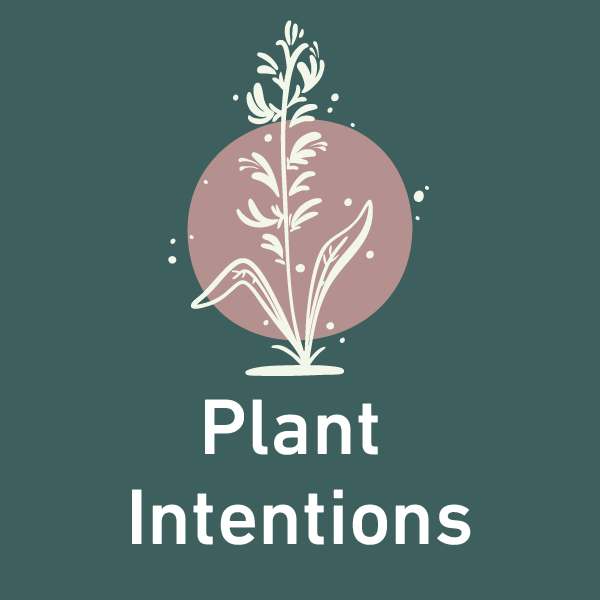 Illustration of a white plant sprout with leaves in front of a pink circle, set on a dark green background. The words Plant Intentions appear below the image in white text.