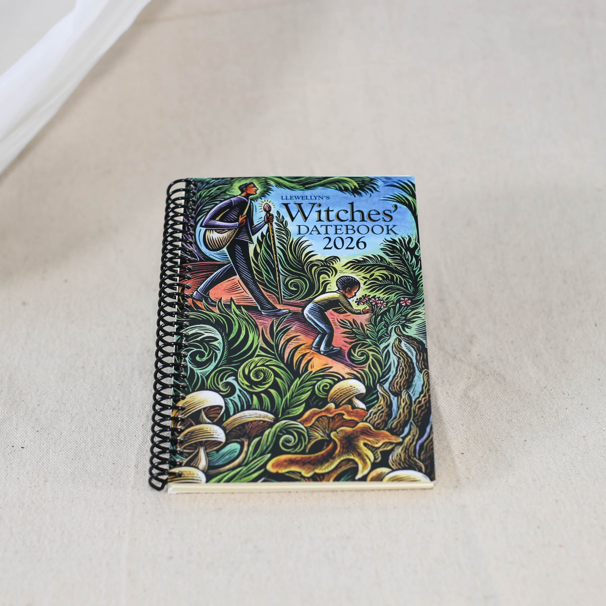 Llewellyn's 2026 Witches' Datebook