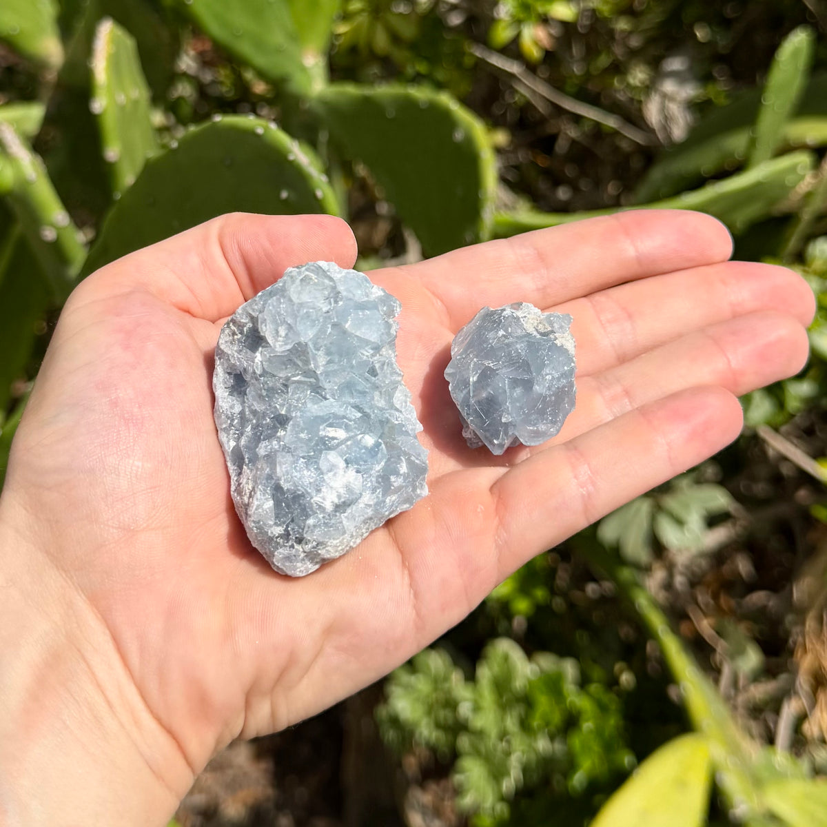 Celestite Rough Chunk