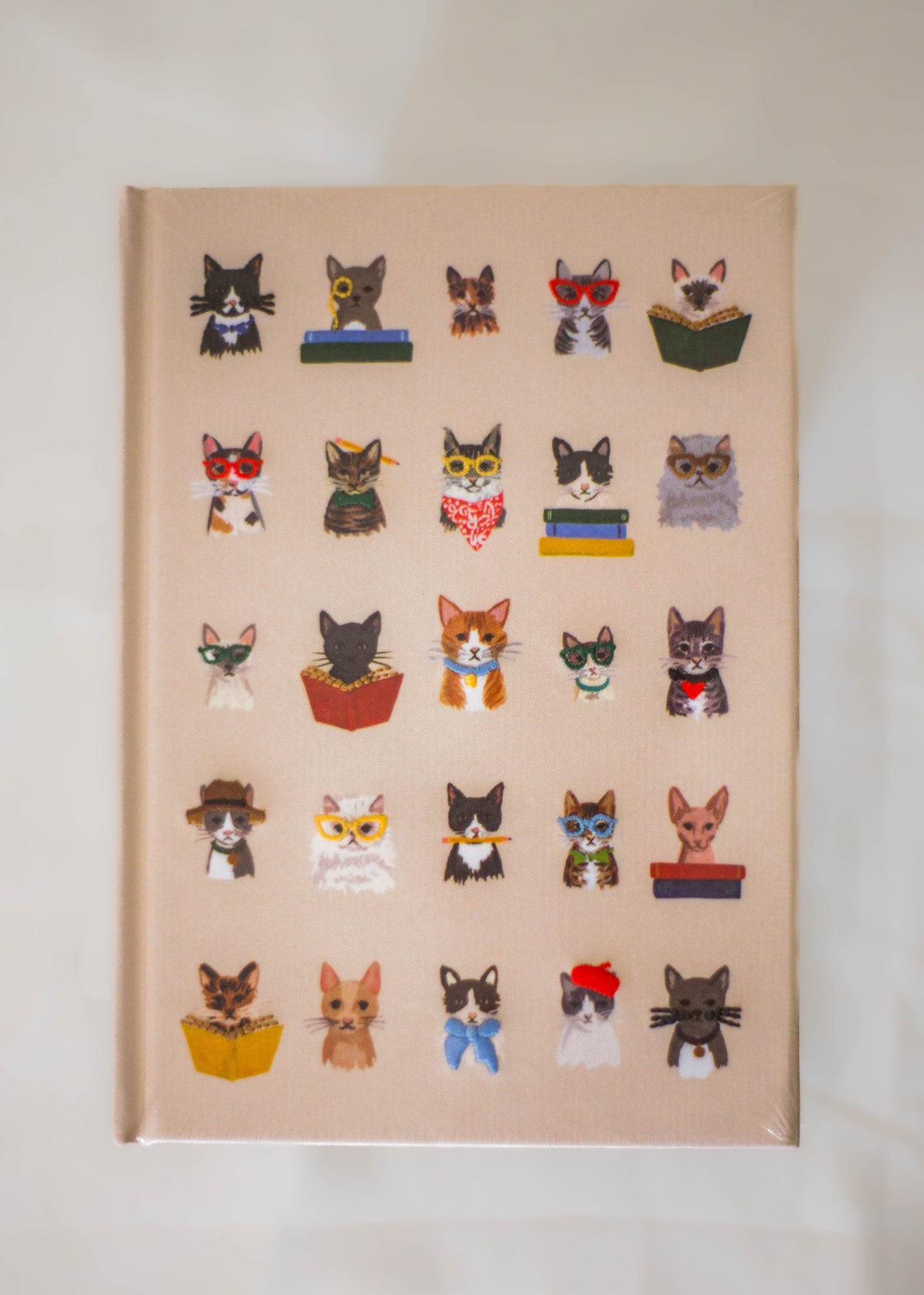 Studious Cats Embroidered Journal