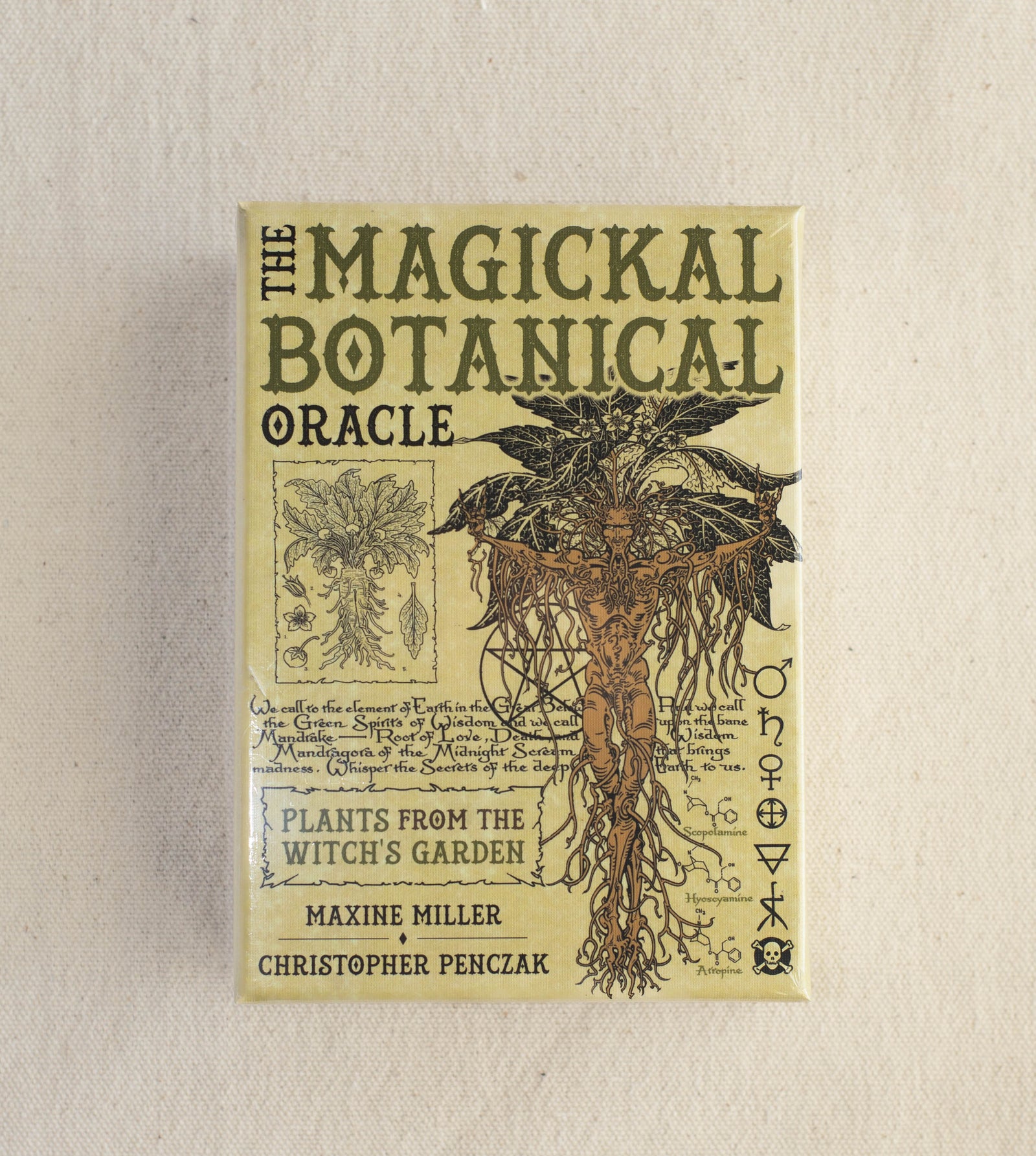 The Magickal Botanical Oracle card deck by The Healing Hedge Witch features intricate art of a human figure entwined with tree roots, plus decorative plant-themed text, created by Maxine Miller and Christopher Penczak.