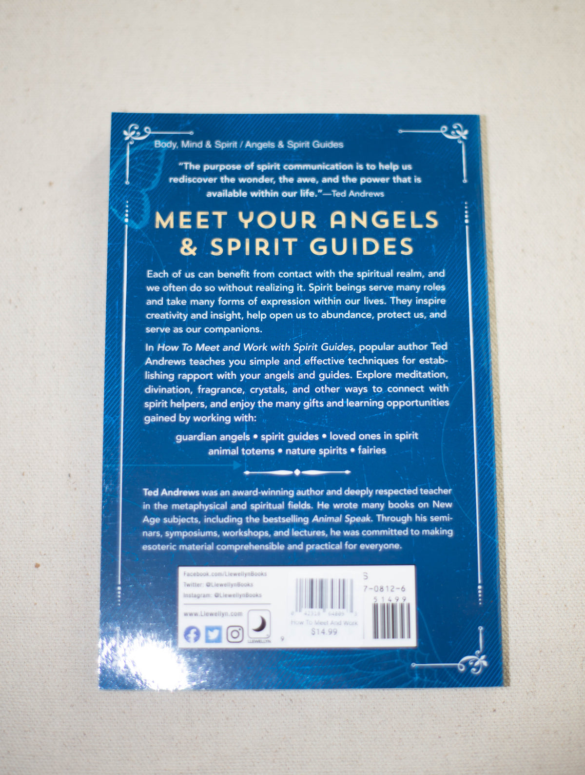 The back cover of How To Meet And Work With Spirit Guides by The Healing Hedge Witch, featuring a summary about spirit communication and the author's background, with a blue background and white text.