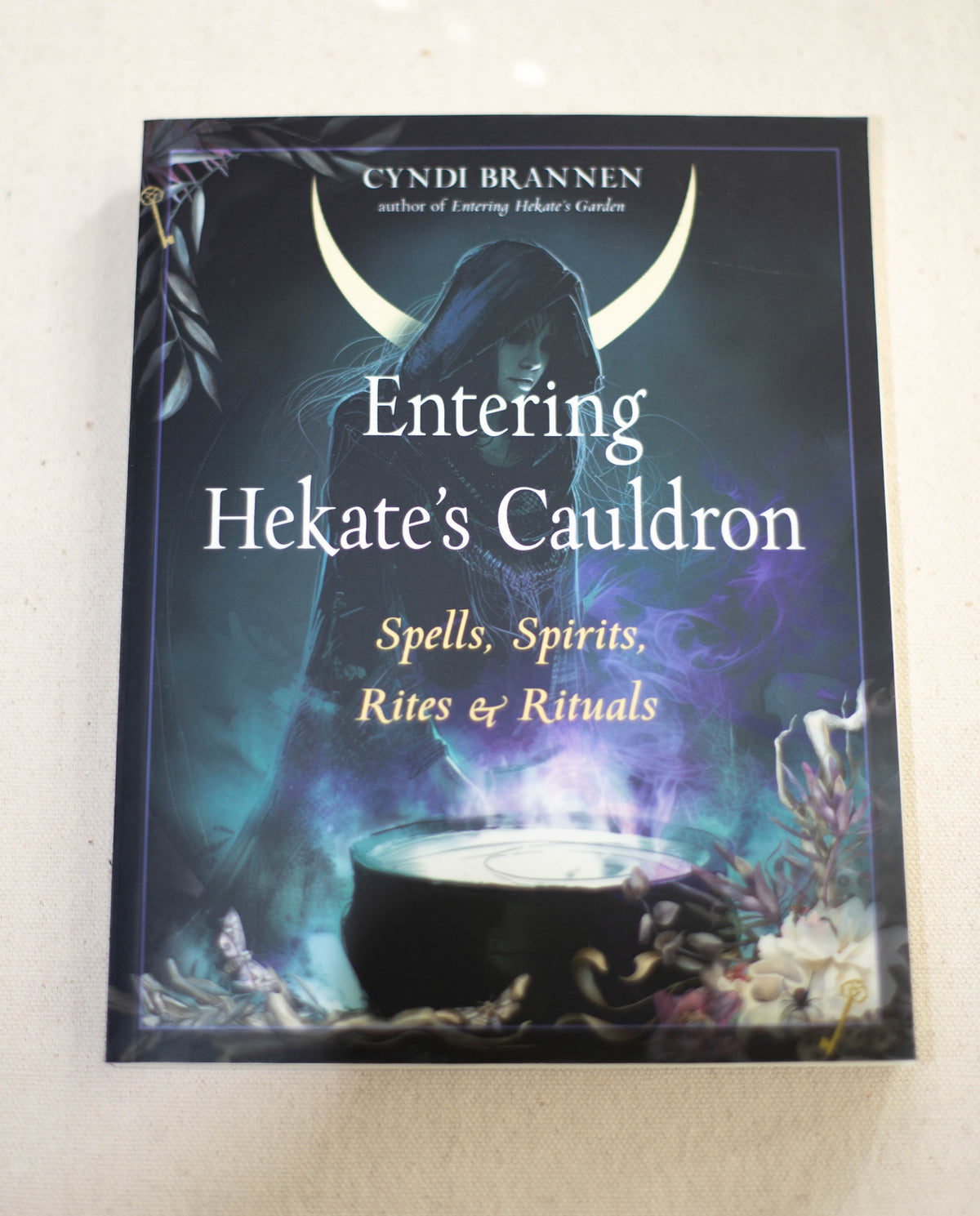 The cover of Entering Hekate's Cauldron by The Healing Hedge Witch shows a hooded figure, crescent moon, glowing cauldron with mist, and magical symbols and plants.