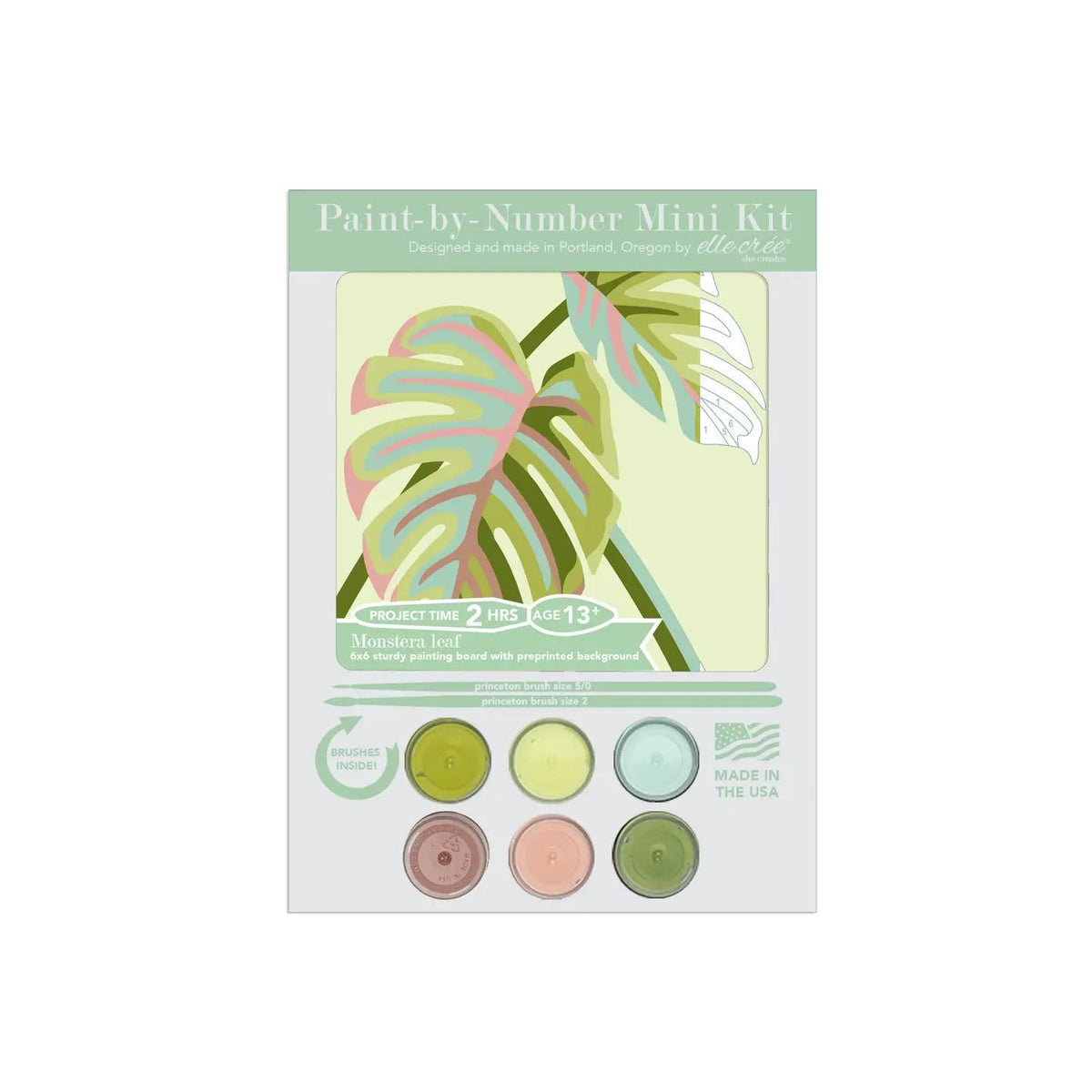 Mini Paint-By-Number Kit monstera