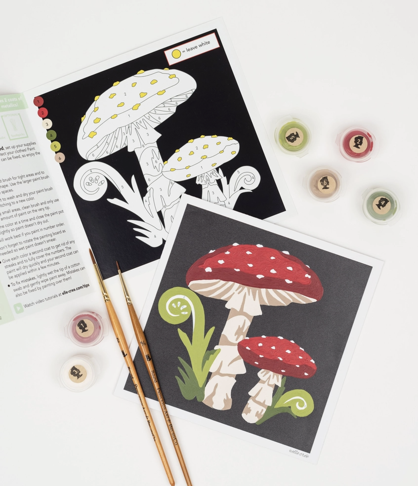 Paint-By-Number Kit mushroom