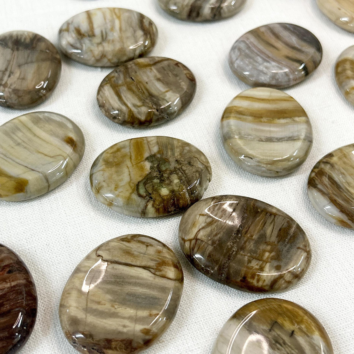 Petrified Wood Calming Stone