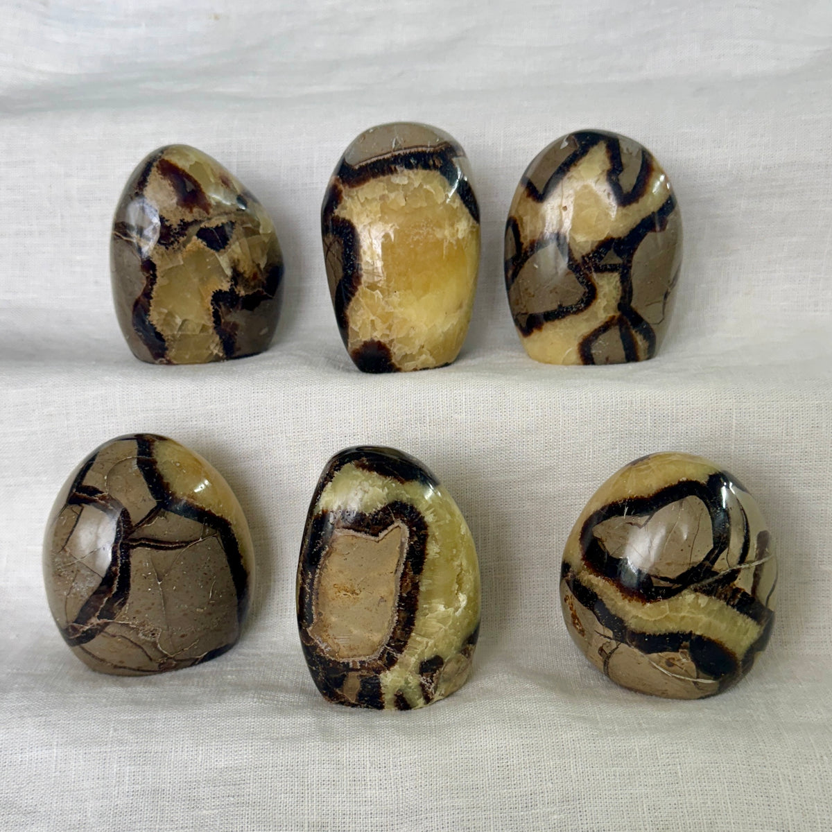 Septarian Free Form