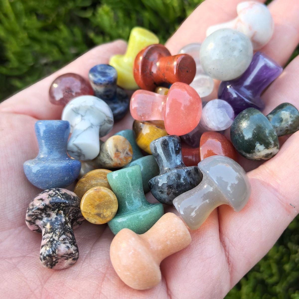 Tiny Crystal Mystery Mushrooms