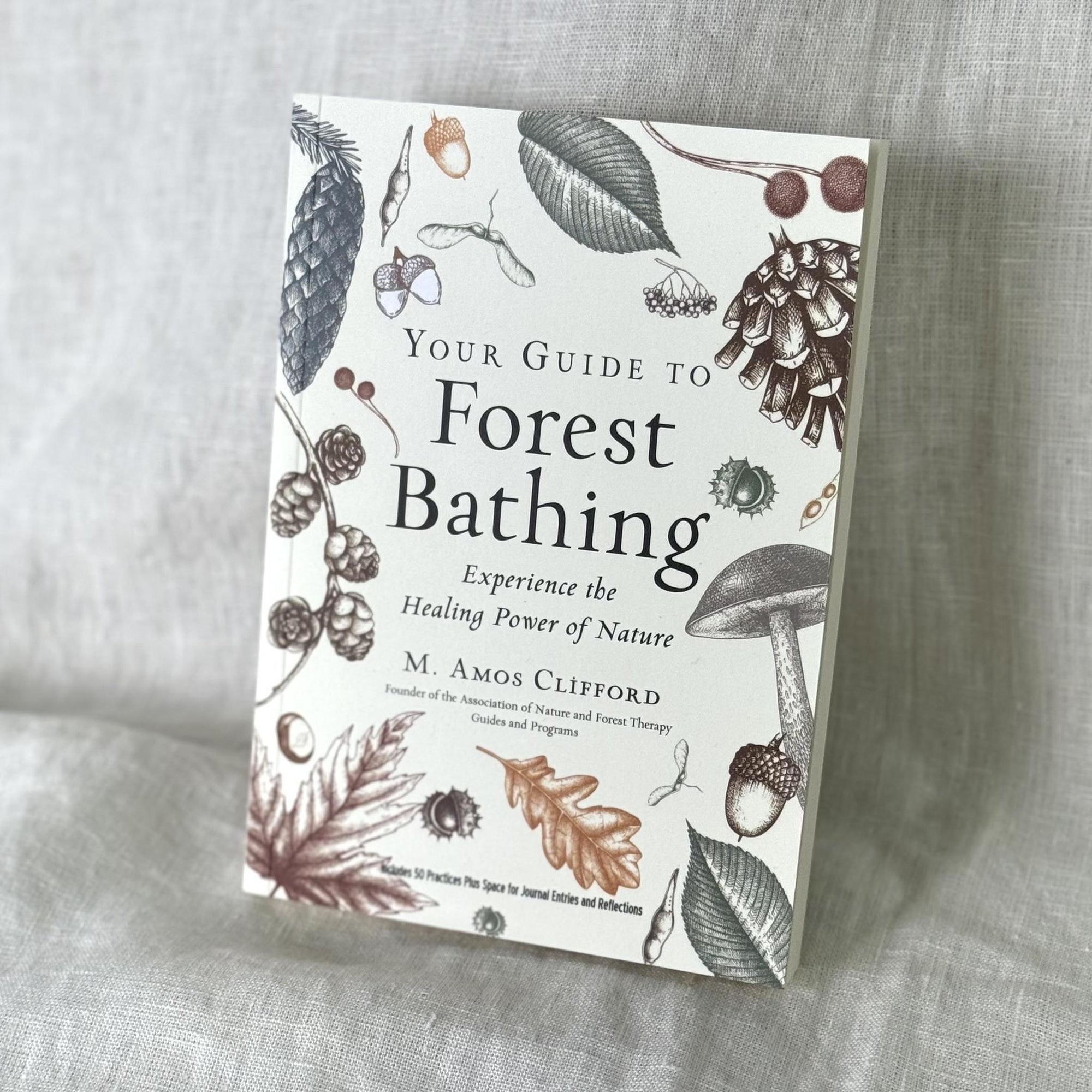 Your Guide To Forest Bathing