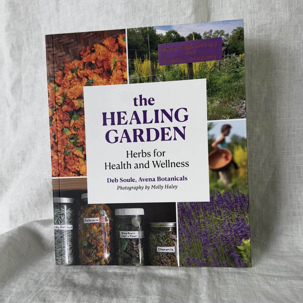 The Healing Garden