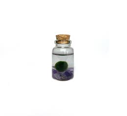 Amazonite Moss Nino