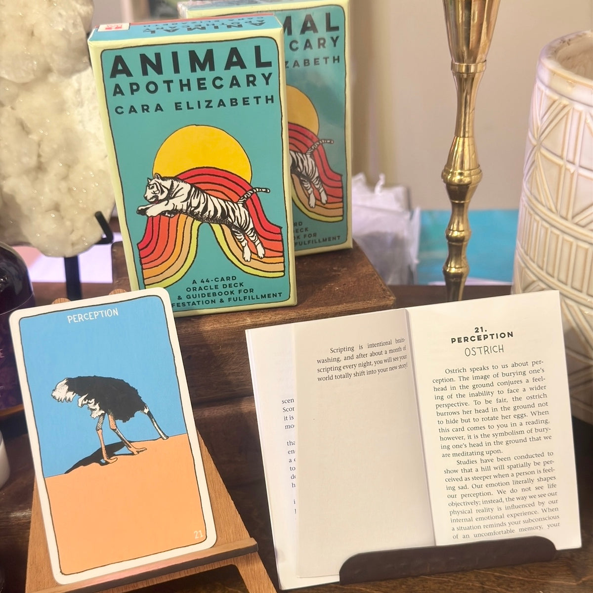 Animal Apothecary Oracle Deck
