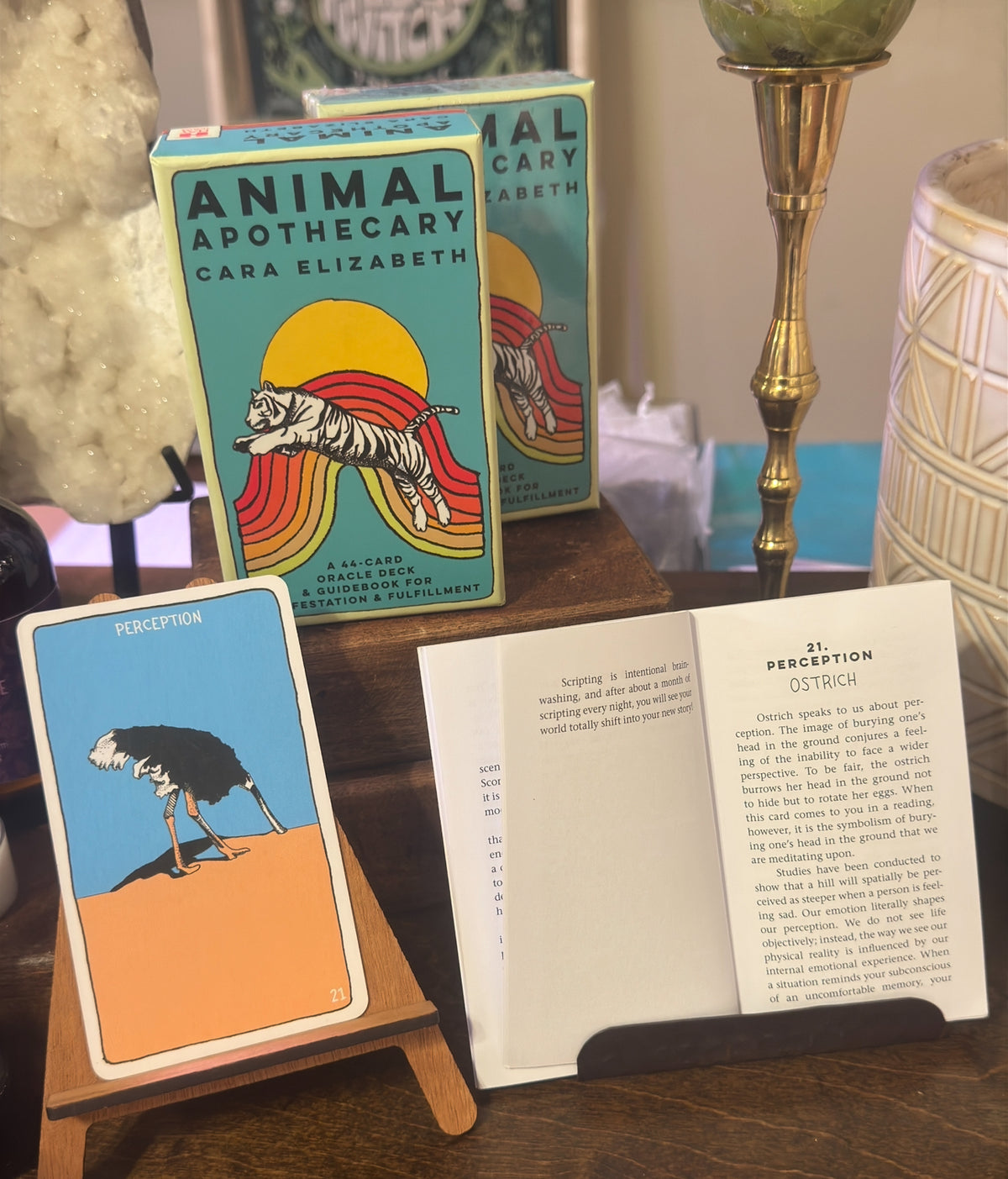 Animal Apothecary Oracle Deck