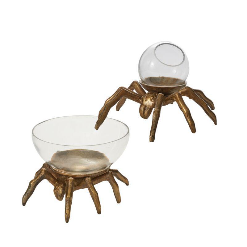 Arachnid Terrarium