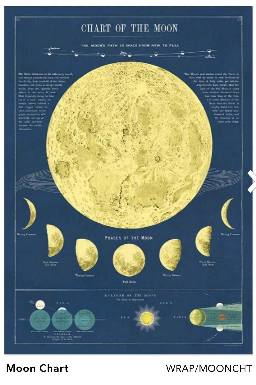 Wrap Poster