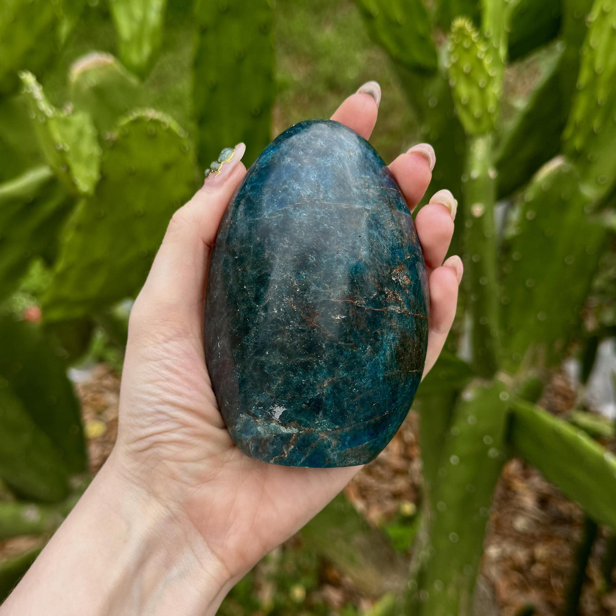 Blue Apatite Freeform