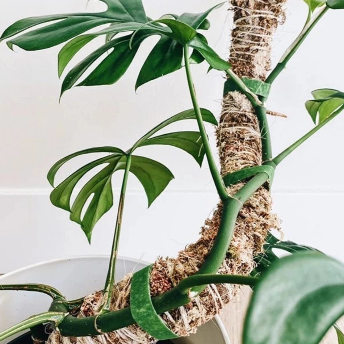 Bendable Moss Pole