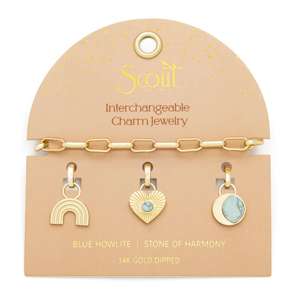 Charm Bracelet Set