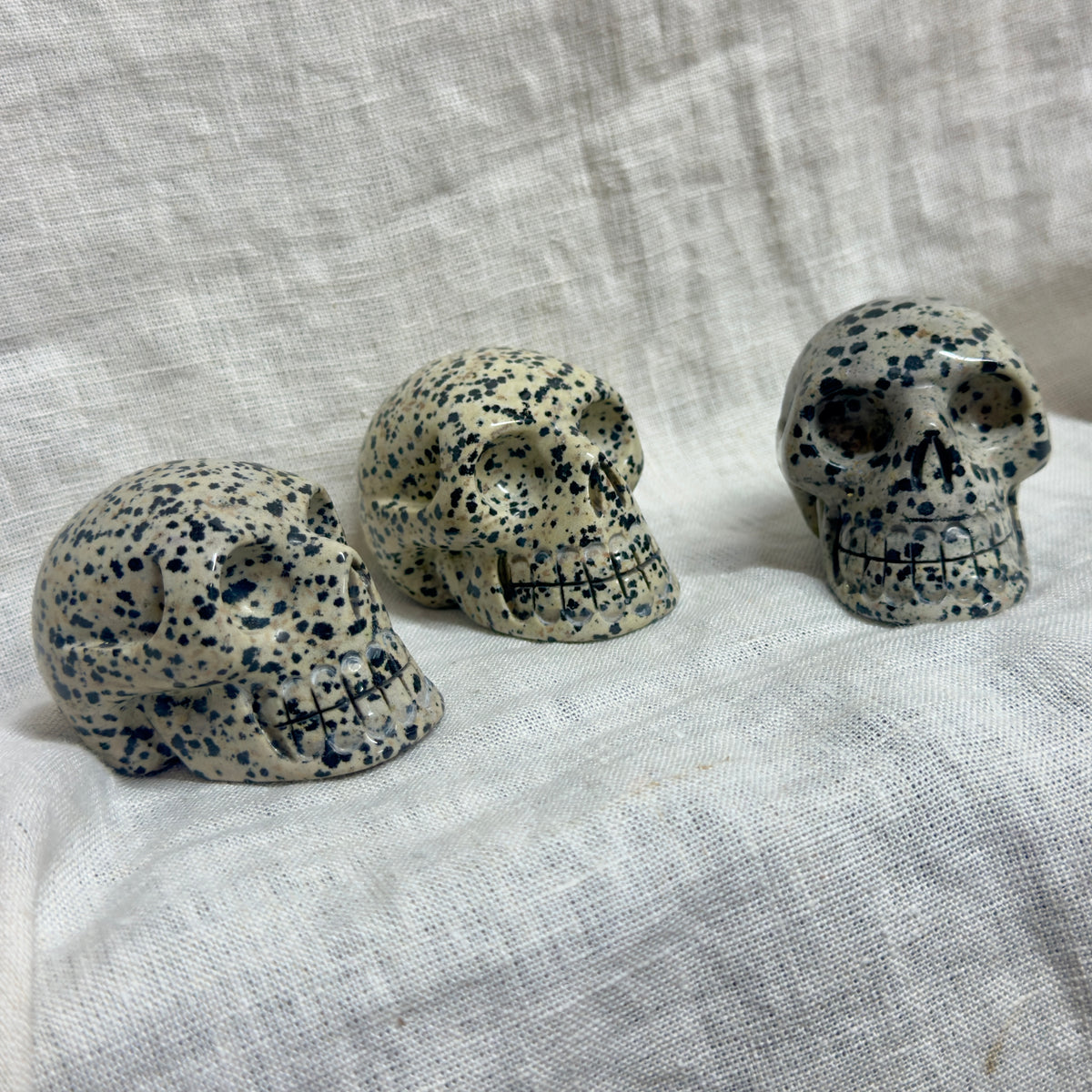 Dalmatian Jasper Carved Crystal Skull