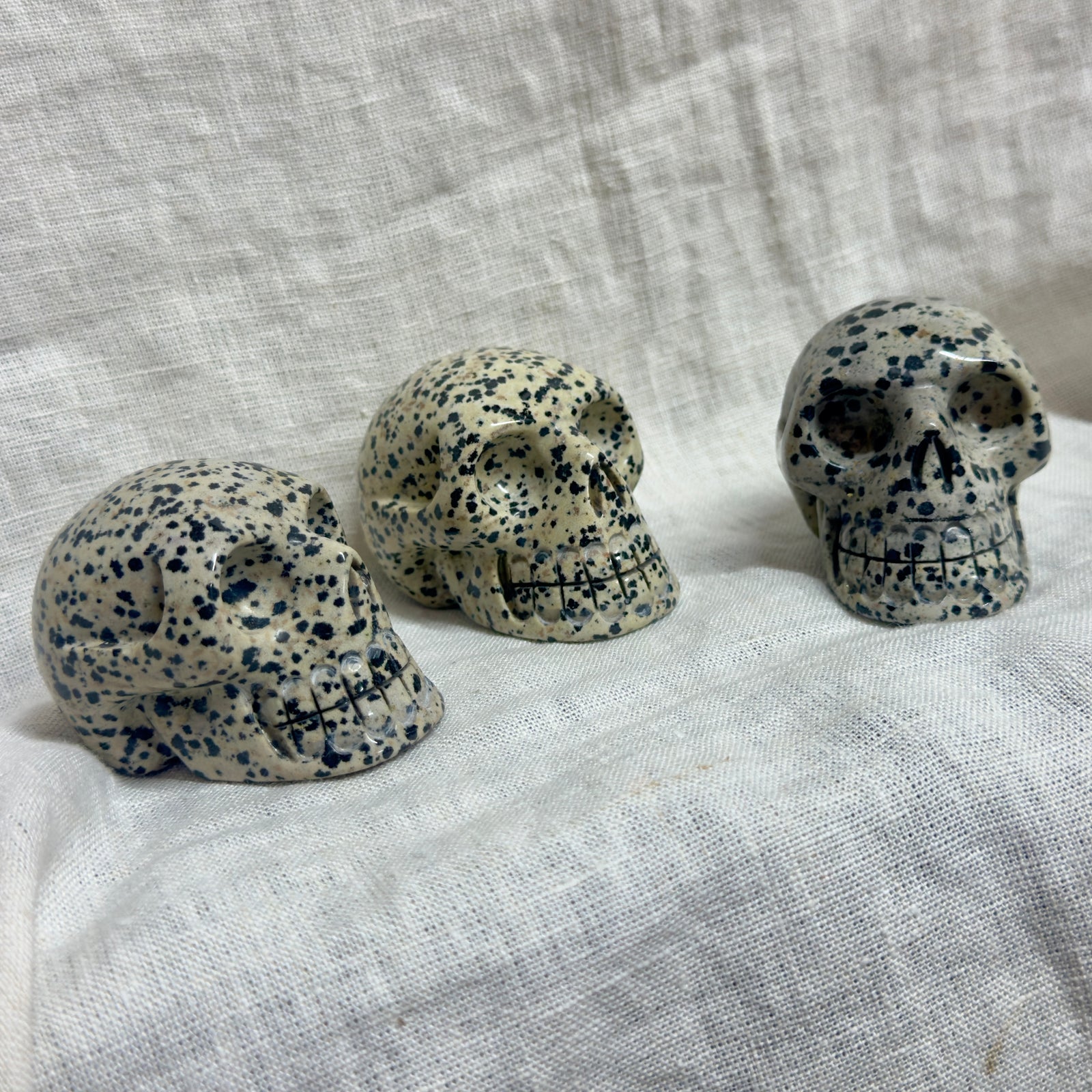 Dalmatian Jasper Carved Crystal Skull