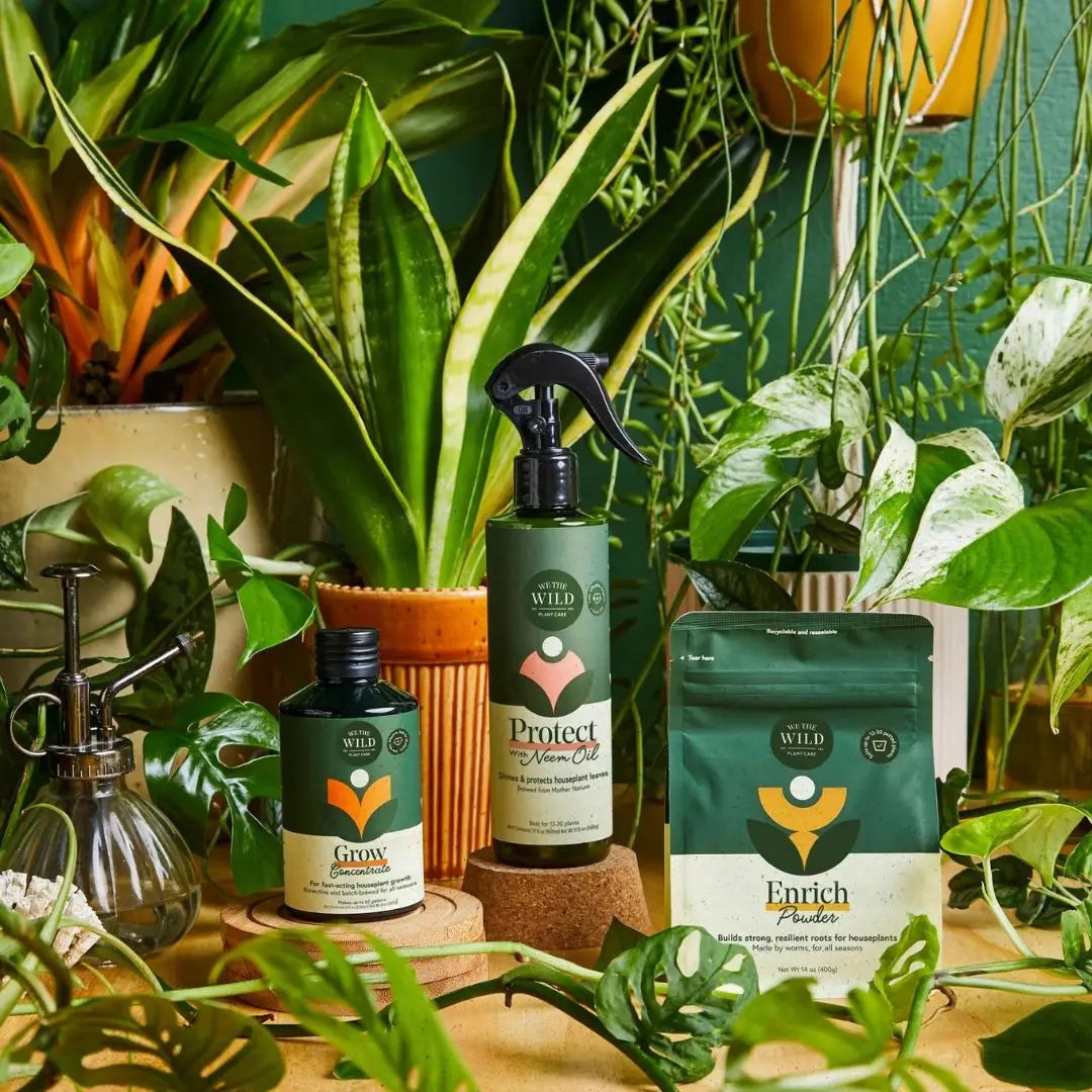 Houseplant Care Kit